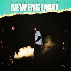 New England - Walking Wild