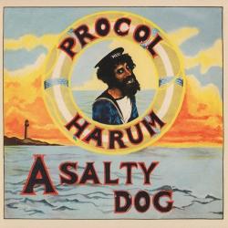 Procol Harum - A Salty Dog