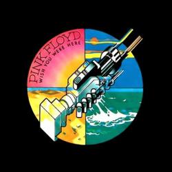 Pink Floyd - Wish You Were Here