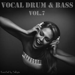 VA - Vocal Drum and Bass Vol.7