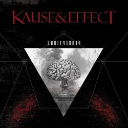 Kause Effect - Perceptions