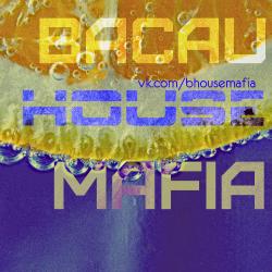 VA - BacauHouseMafia vol.14