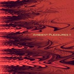 VA - Ambient Pleasures 2