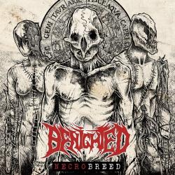 Benighted - Necrobreed