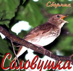 Cоловушка - Сборник