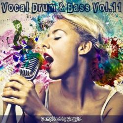 VA - Vocal Drum Bass Vol.11
