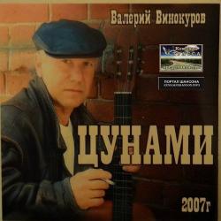 Валерий Винокуров - Цунами