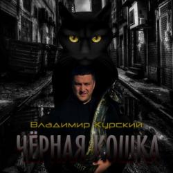 Владимир Курский - Чёрная кошка