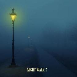 VA - Night Walk 7